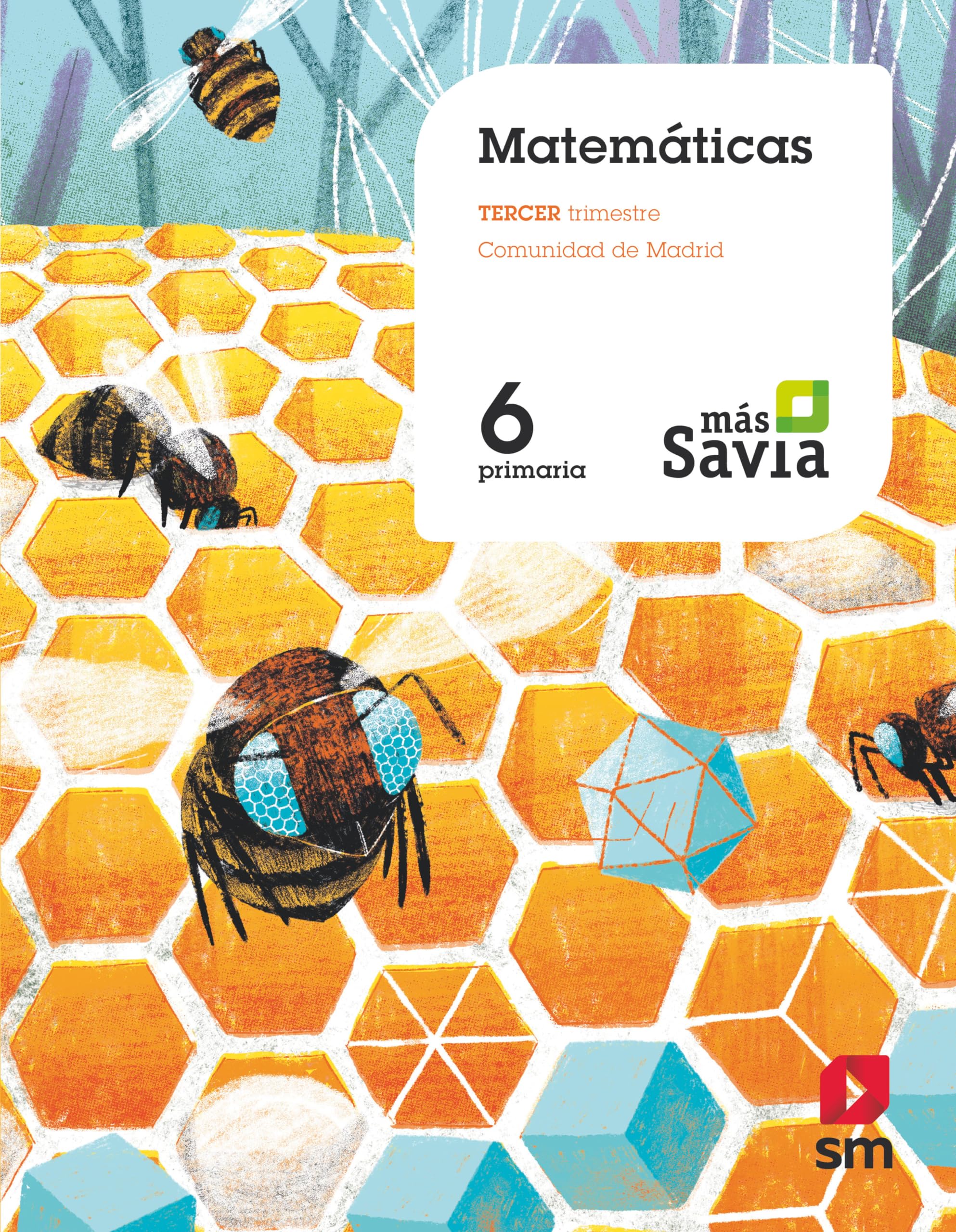 Matemáticas. 6 Primaria. Mas Savia. Madrid book