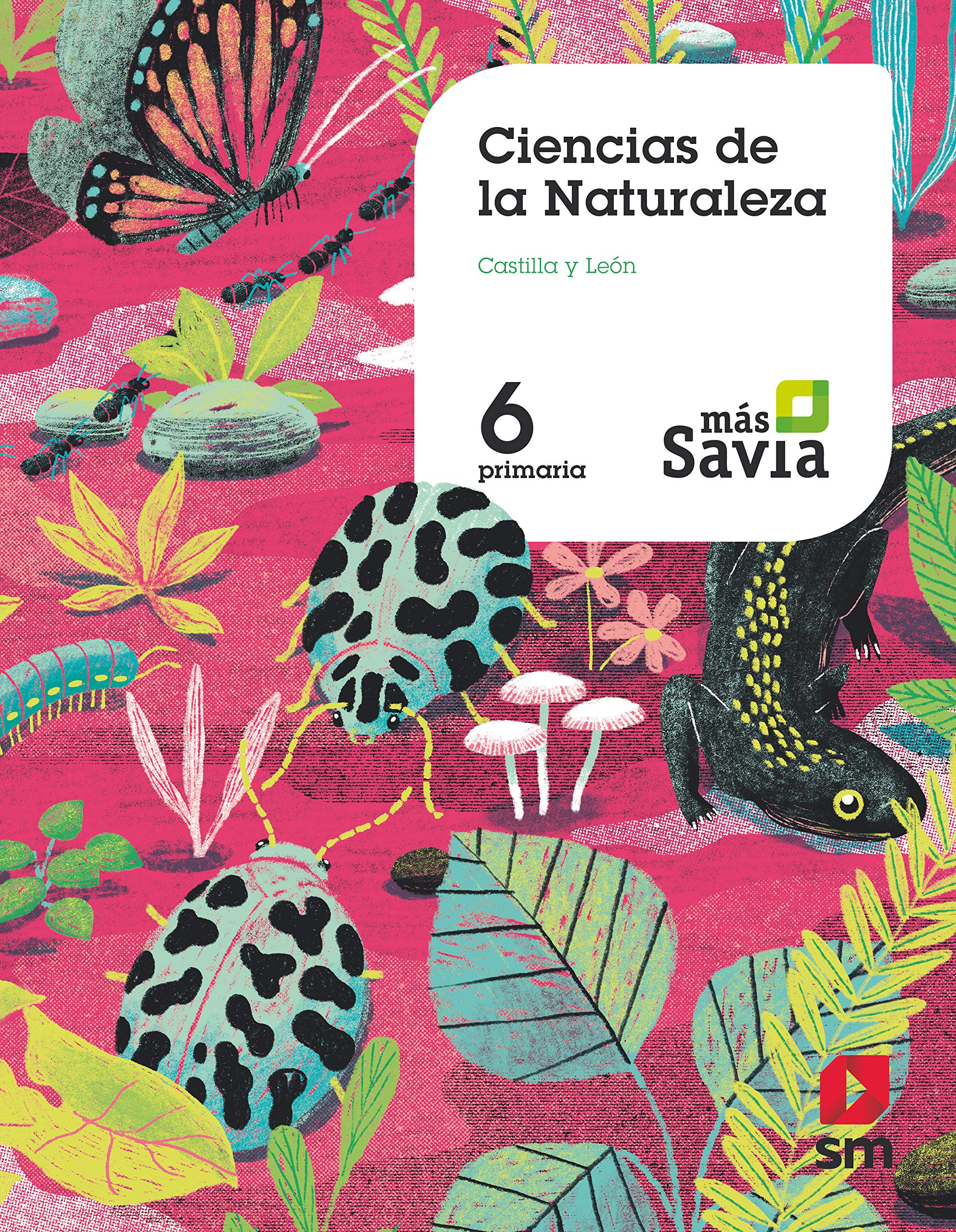 Ciencias de la naturaleza. 6 Primaria. Más Savia. Castilla y León Non-fiction