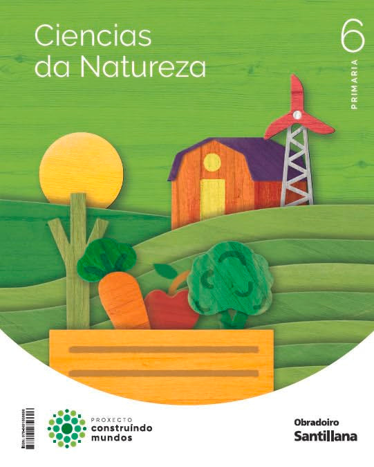 CIENCIAS DA NATUREZA 6 PRIMARIA CONSTRUINDO MUNDOS book