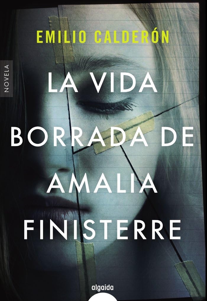 La vida borrada de Amalia Finisterre book