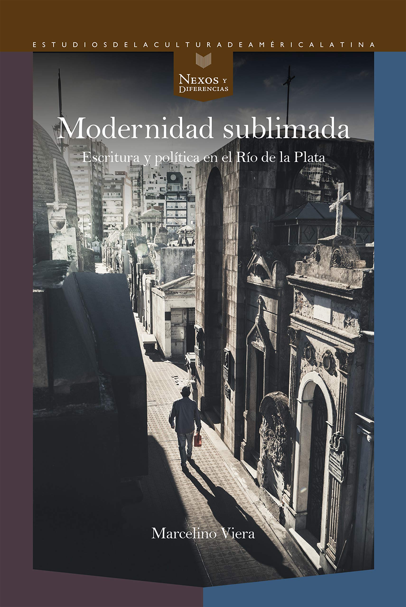 Modernidad sublimada: escritura y política en el Río de la Plata (Nexos y Diferencias. Estudios de la Cultura de América Latina, Band 55) Books