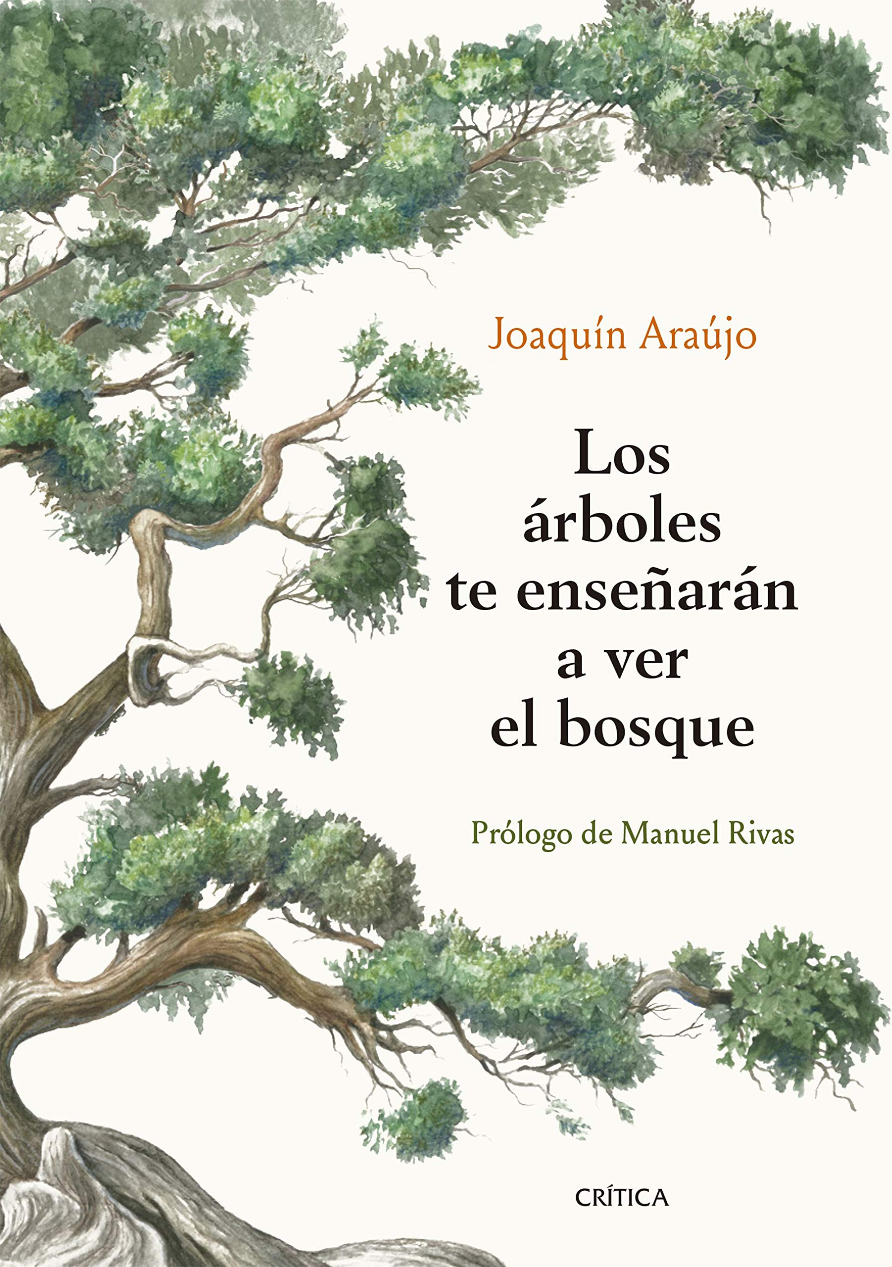 Los árboles te enseñarán a ver el bosque: Prólogo de Manuel Rivas book
