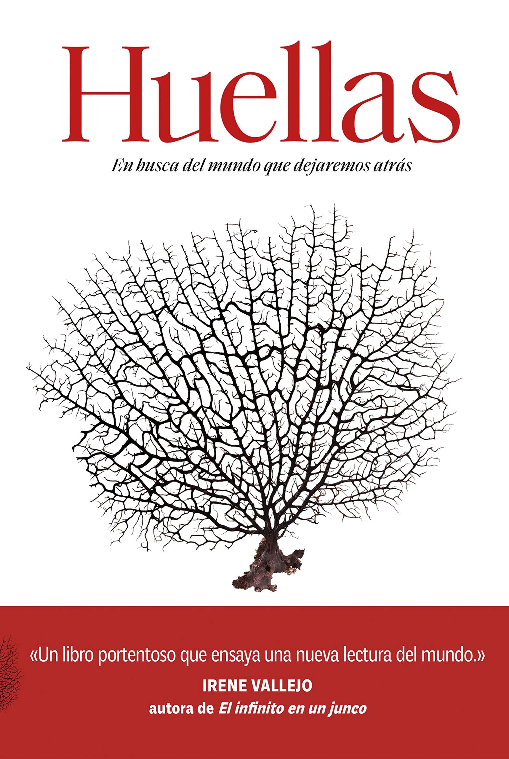 Huellas: En busca del mundo que dejaremos atrás book
