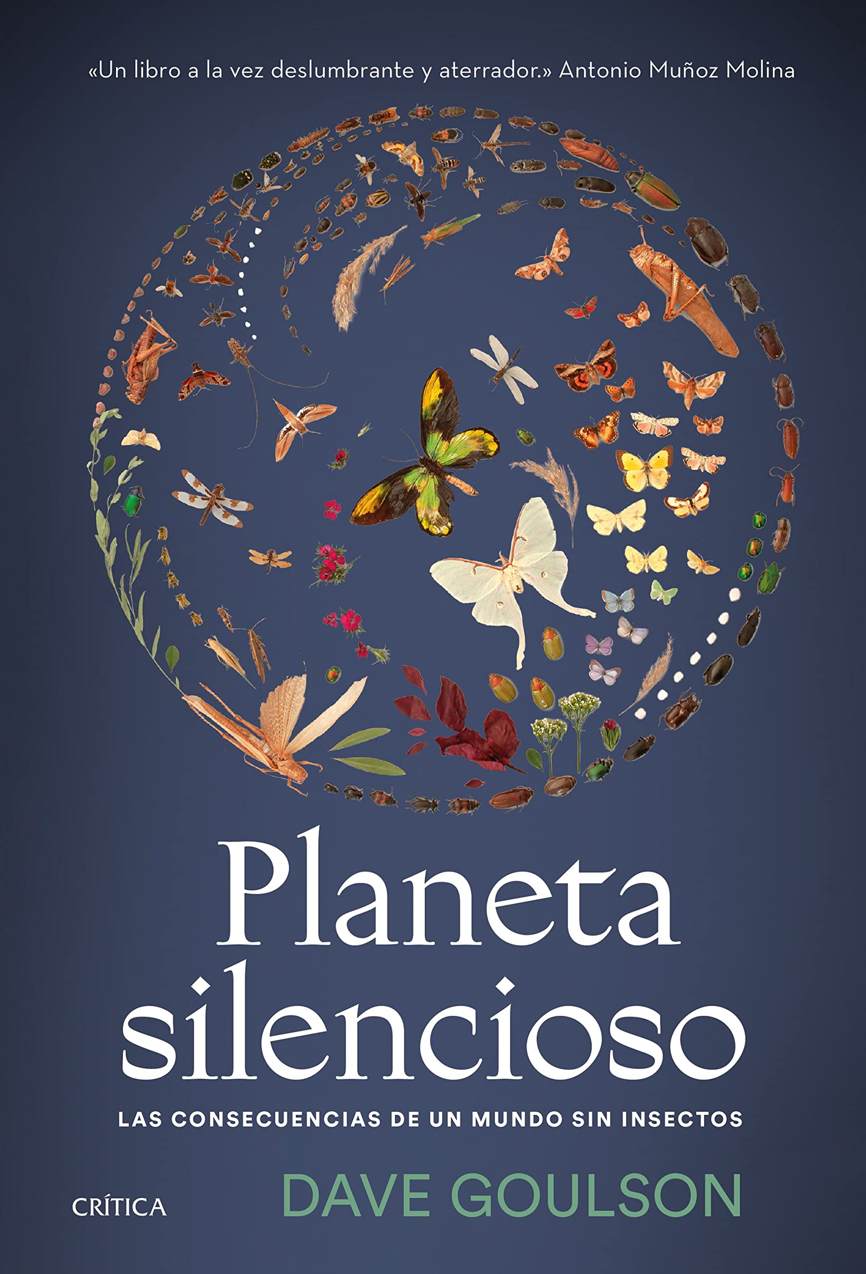 Planeta silencioso: Las consecuencias de un mundo sin insectos (Drakontos) Books