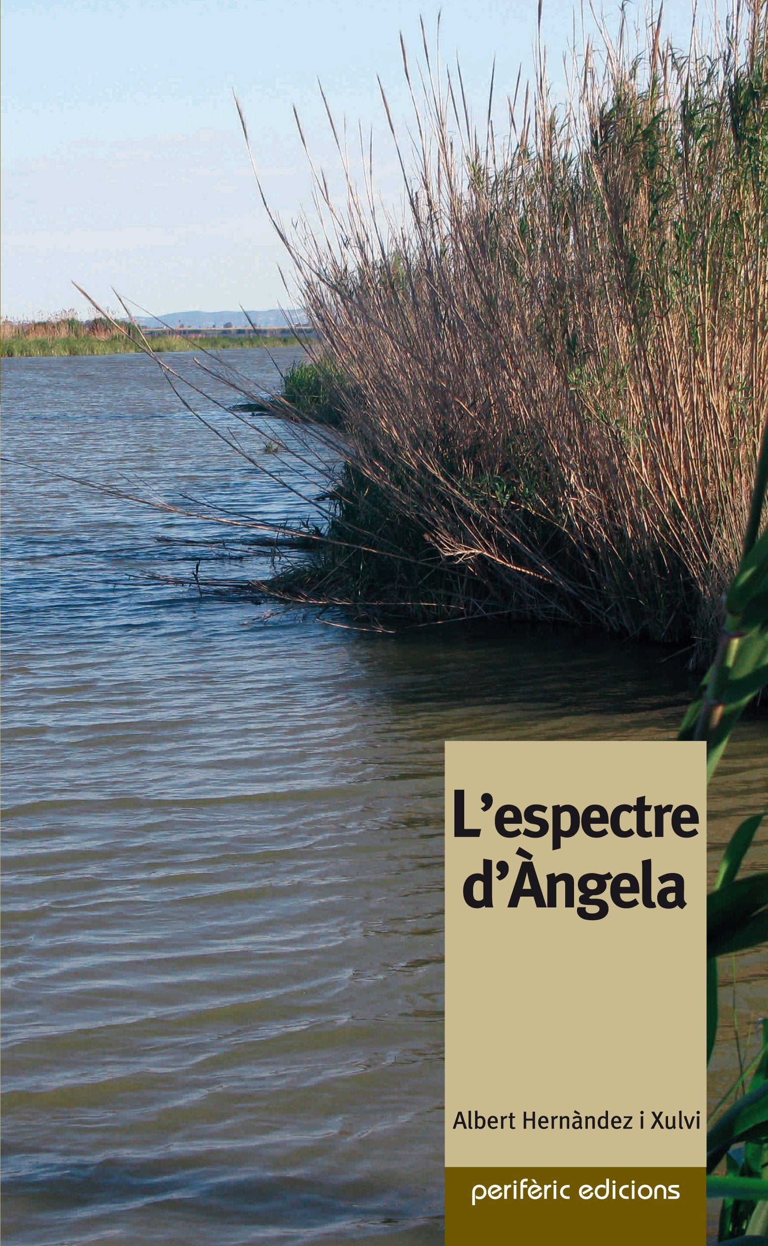 L espectre d Àngela book