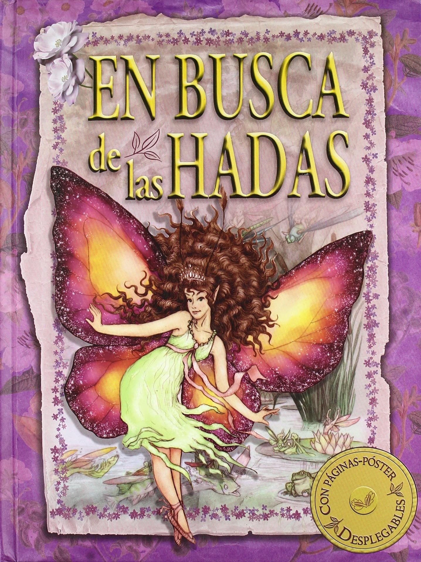 En busca de las hadas book