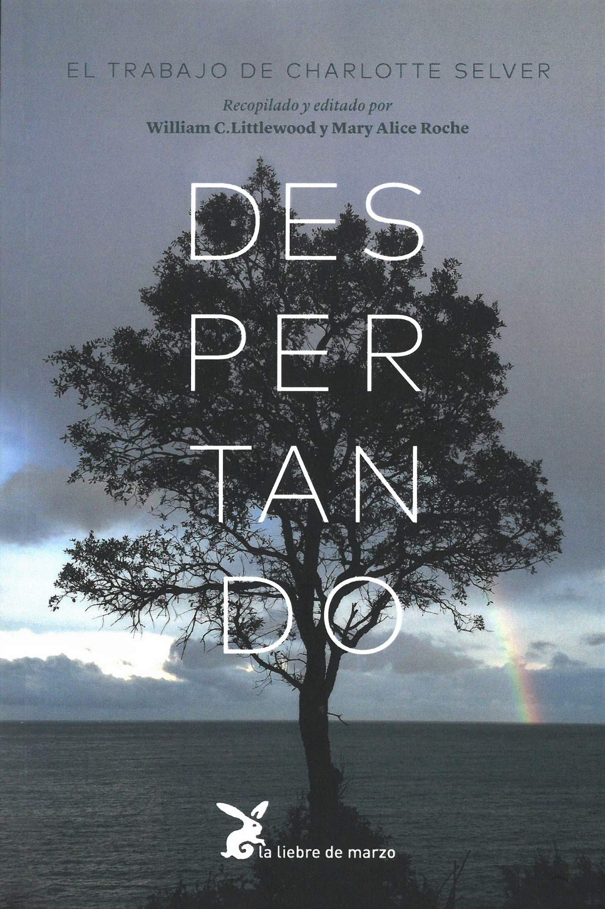 Despertando book