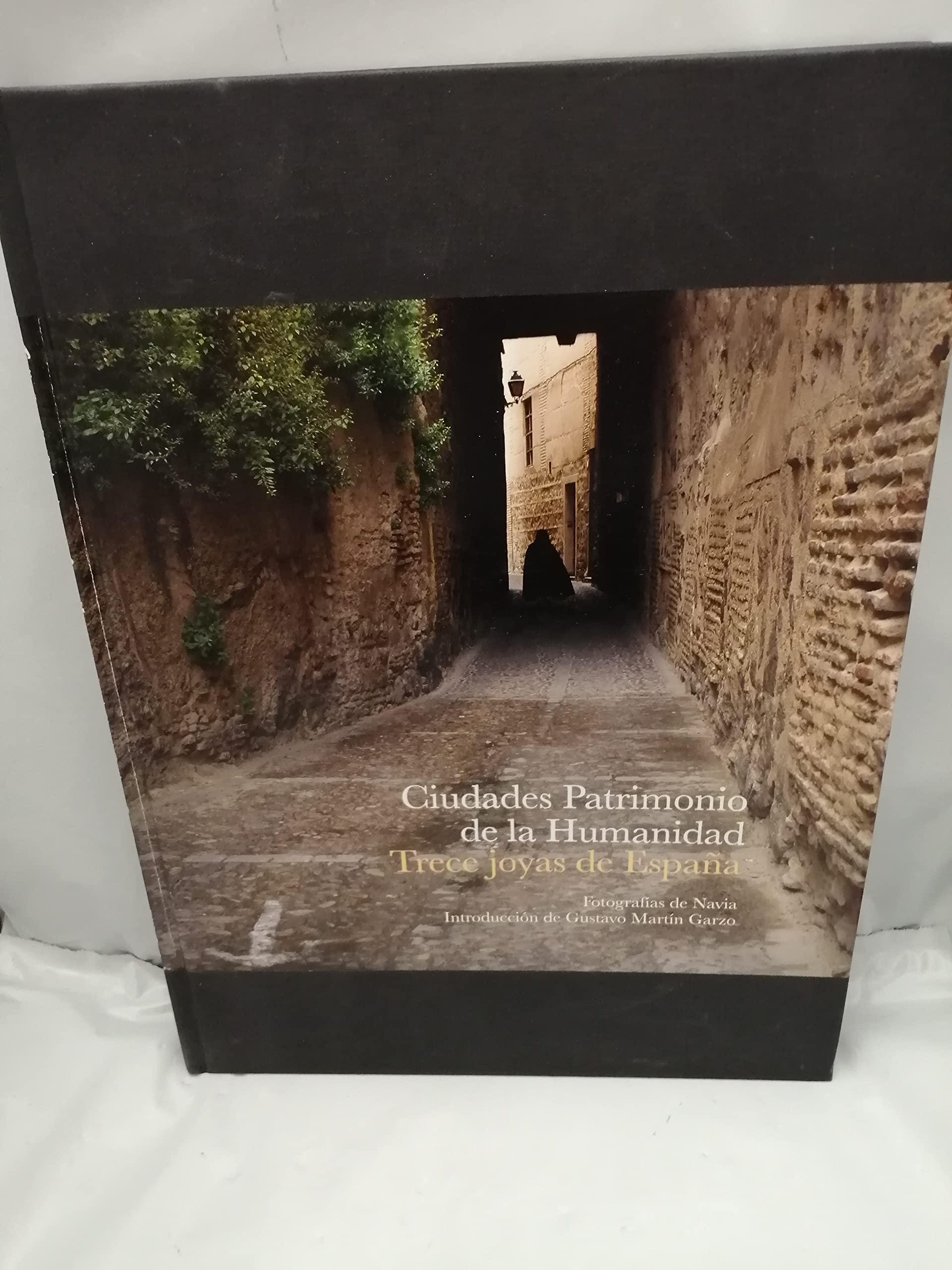 Ciudades patrimonio de la humanidad. book