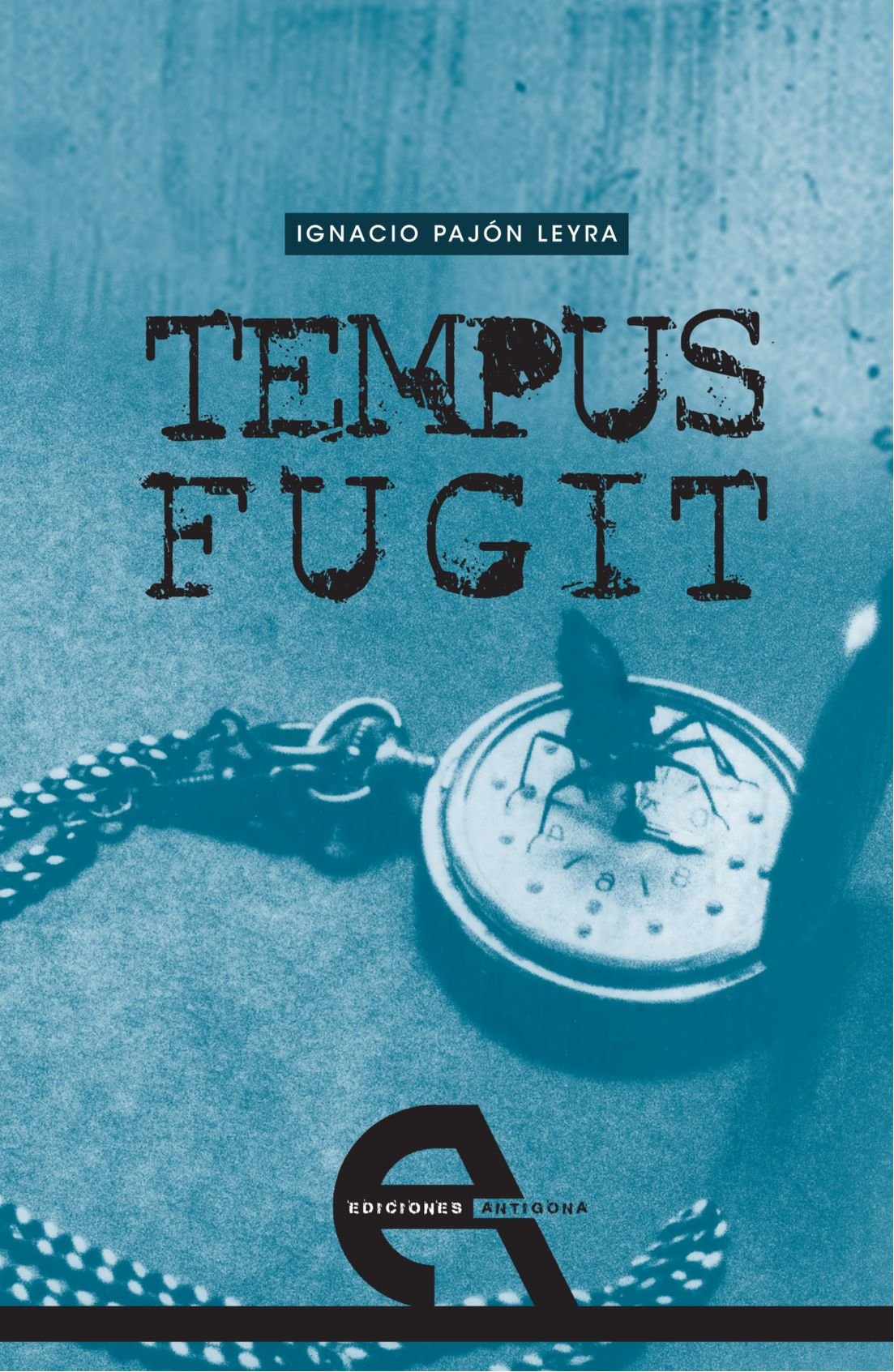 Tempus fugit (Narrativa, Band 6) Essays & Short Stories