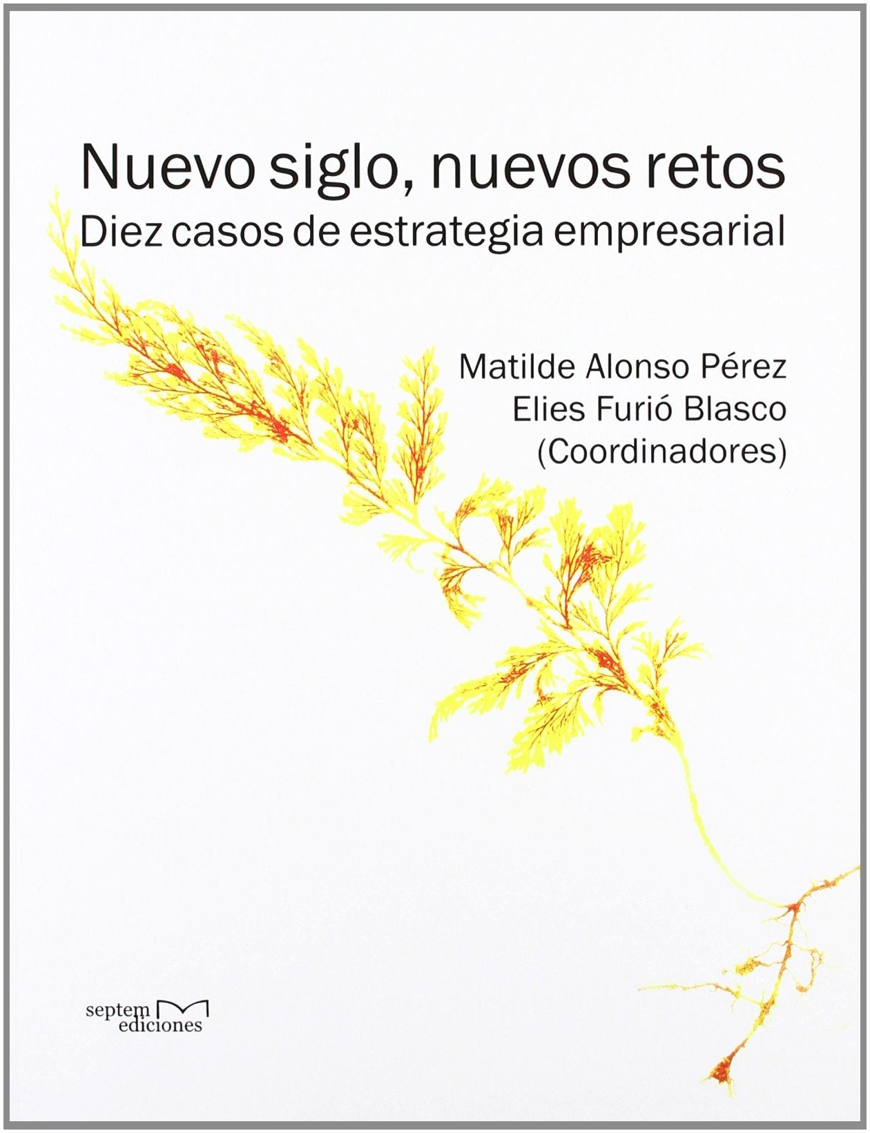 NUEVO SIGLO Y NUEVOS RETOS DIEZ CASOS DE ESTUDIO DE ESTRATEGIA EMPRESA Books