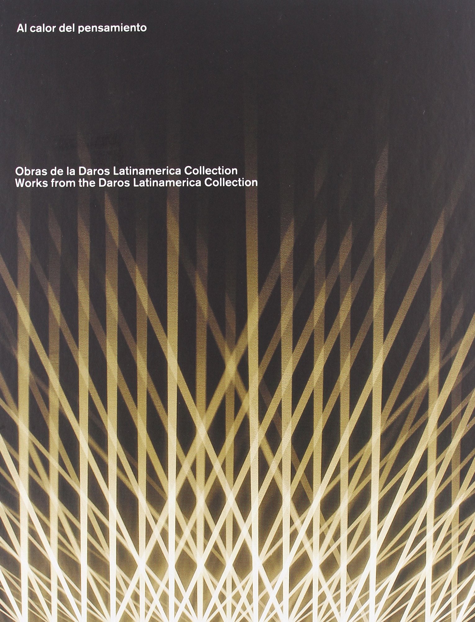 Al calor del pensamiento : obras de Daros Latinamerica Collection book