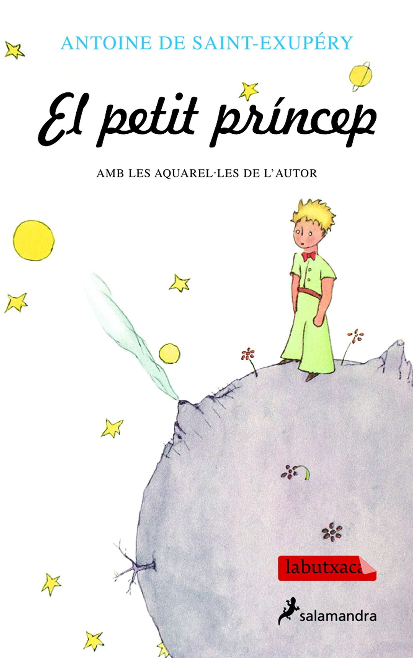 El petit príncep book