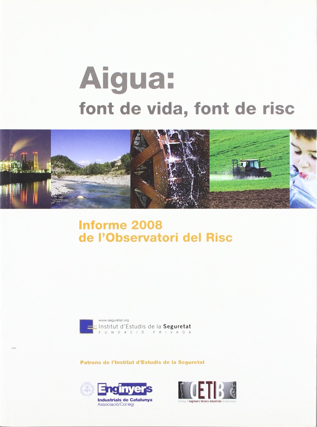 Aigua: font de vida, font de risc : informe 2008 de l'Observatori del Risc book
