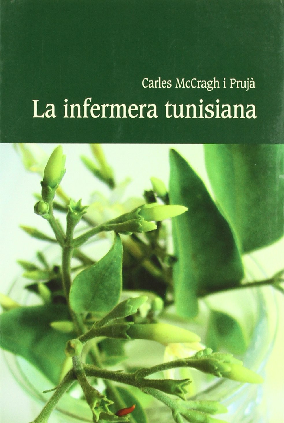 McCragh i Prujà, C: Infermera tunisiana Contemporary literature
