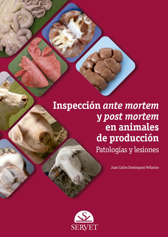 Inspección Ante Mortem Y Post Mortem En Animales de Producción book