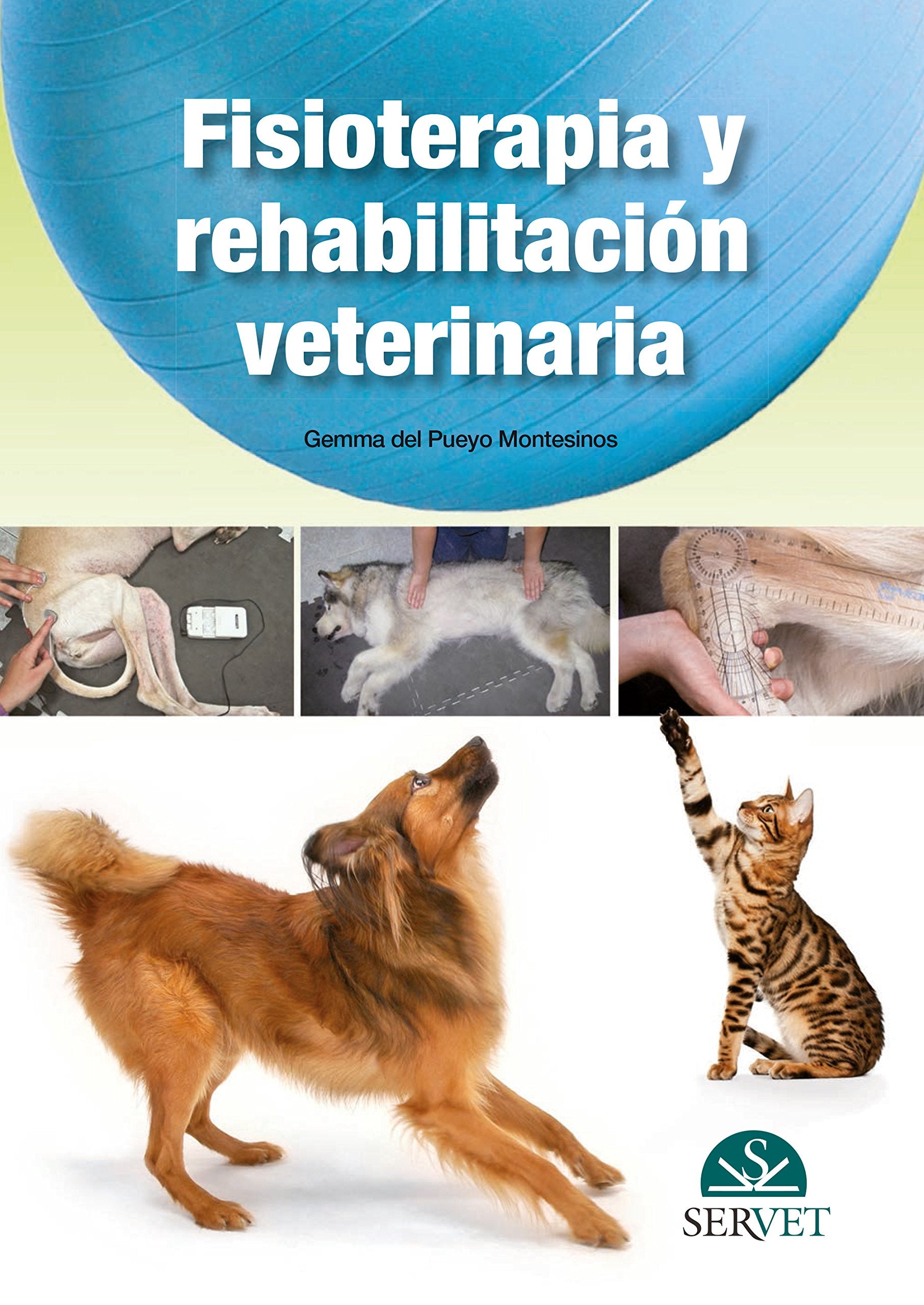 Fisioterapia y rehabilitación book