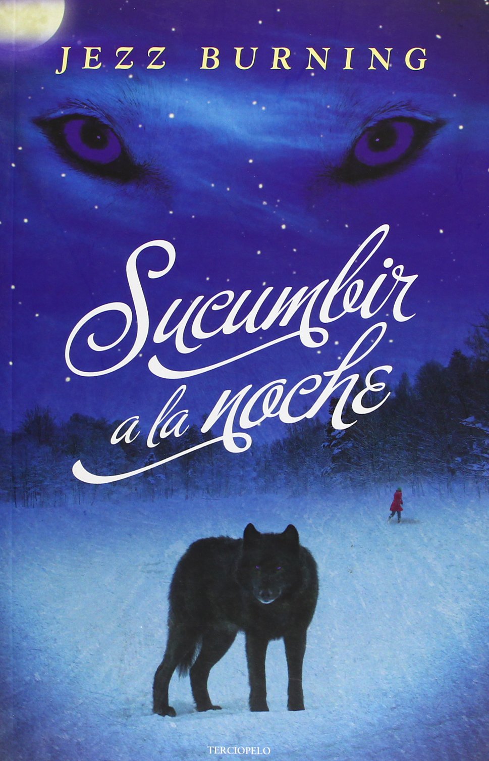 Sucumbir a la noche / Succumbing to the night book