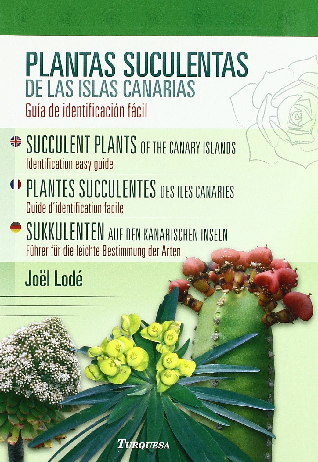 Plantas suculentas de las islas Canarias: guia de identificacion facil / Plantes succulentes des îles Canaries : guide d'identification facile (espagnol-anglais-français-allemand) book