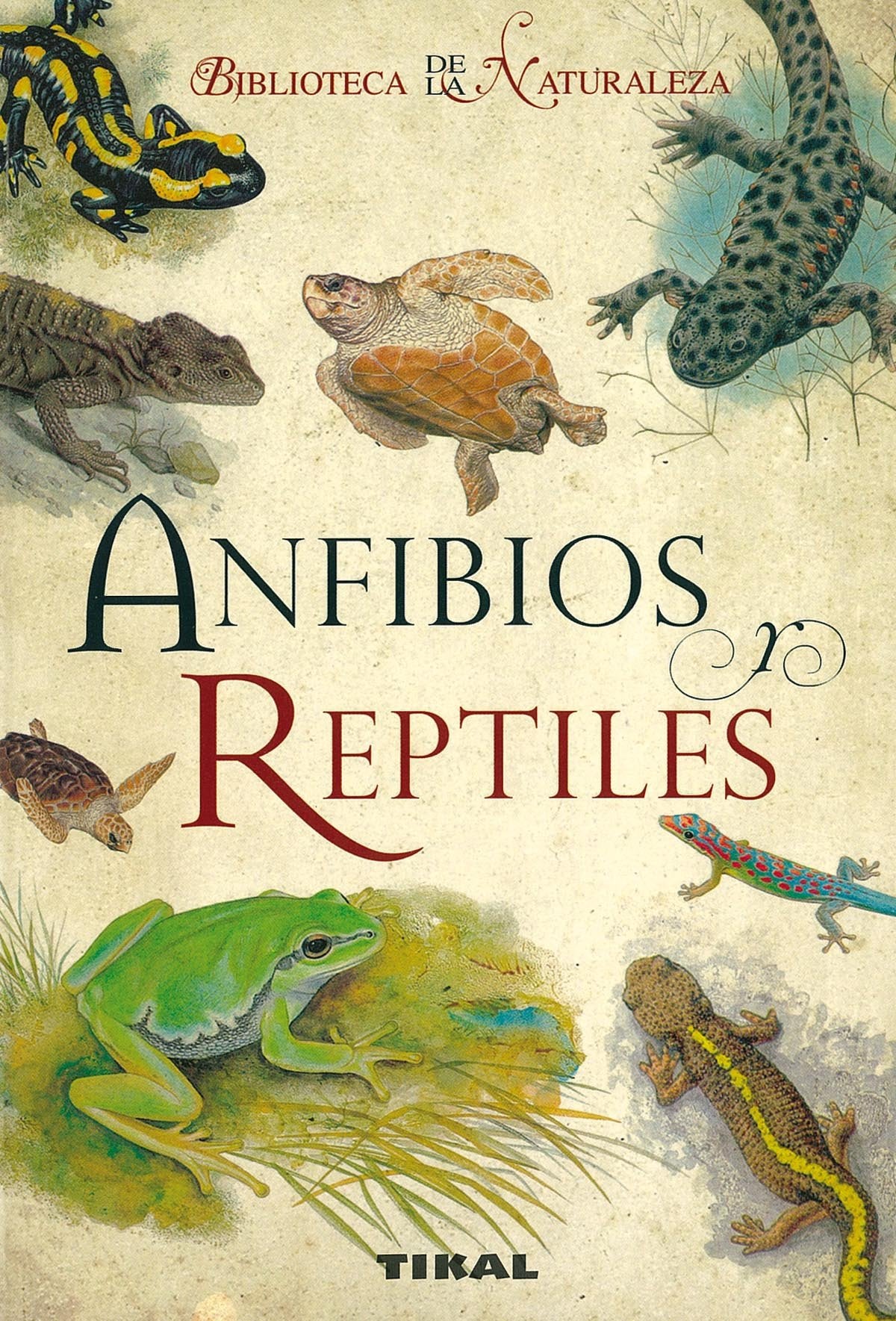 Anfibios y reptiles/ Amphibians and Reptiles book