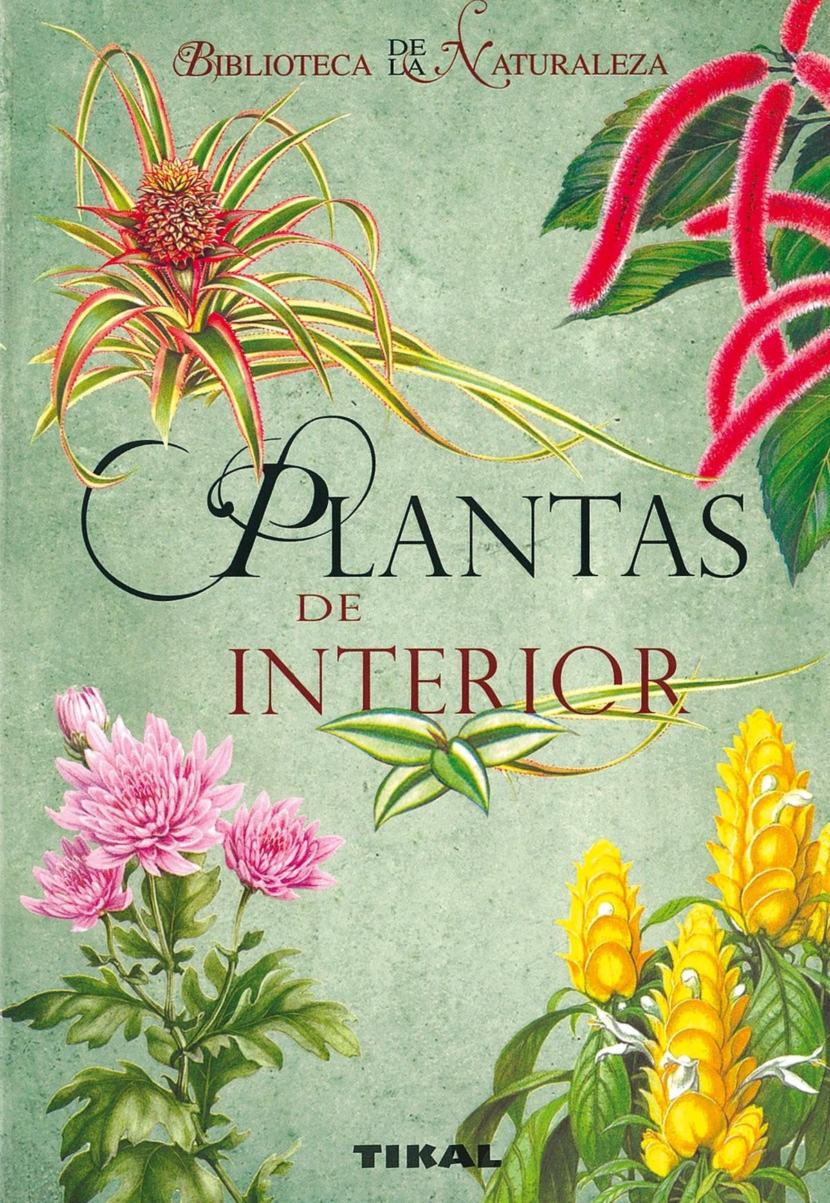 Plantas de interior (Biblioteca De La Naturaleza) Garden & Plants