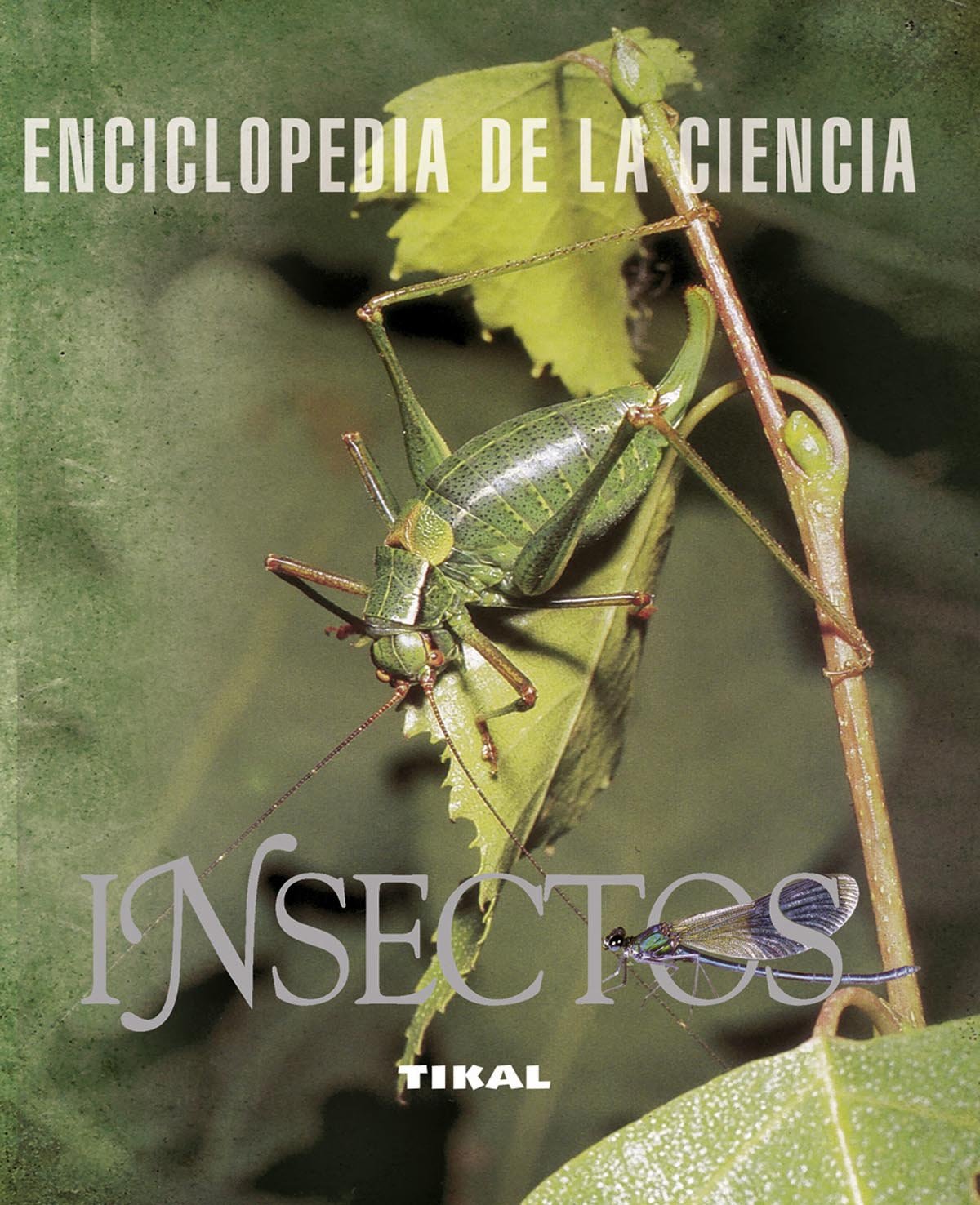 Enciclopedia de los insectos (Enciclopedia De La Ciencia) Medicine
