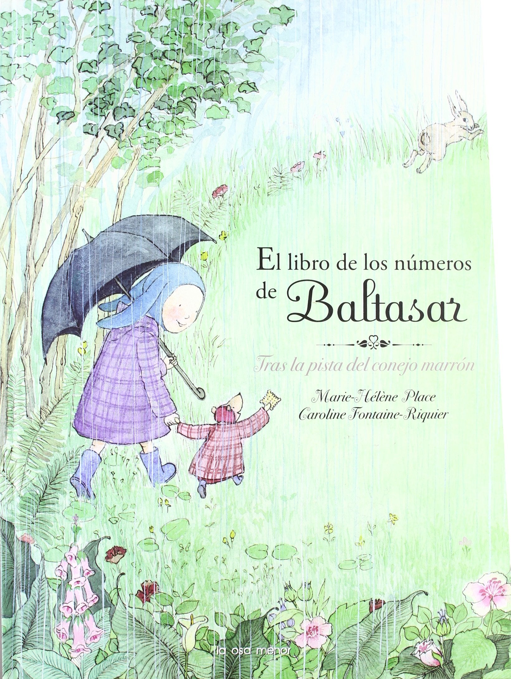 El libro de los números de Baltasar : tras la pista del conejo marrón book