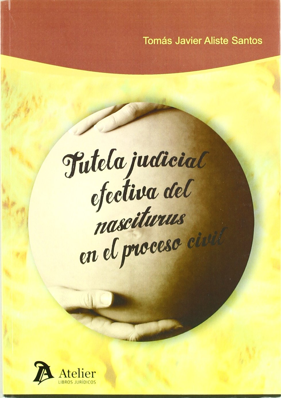 Tutela judicial efectiva del nasciturus en el proceso civil. book