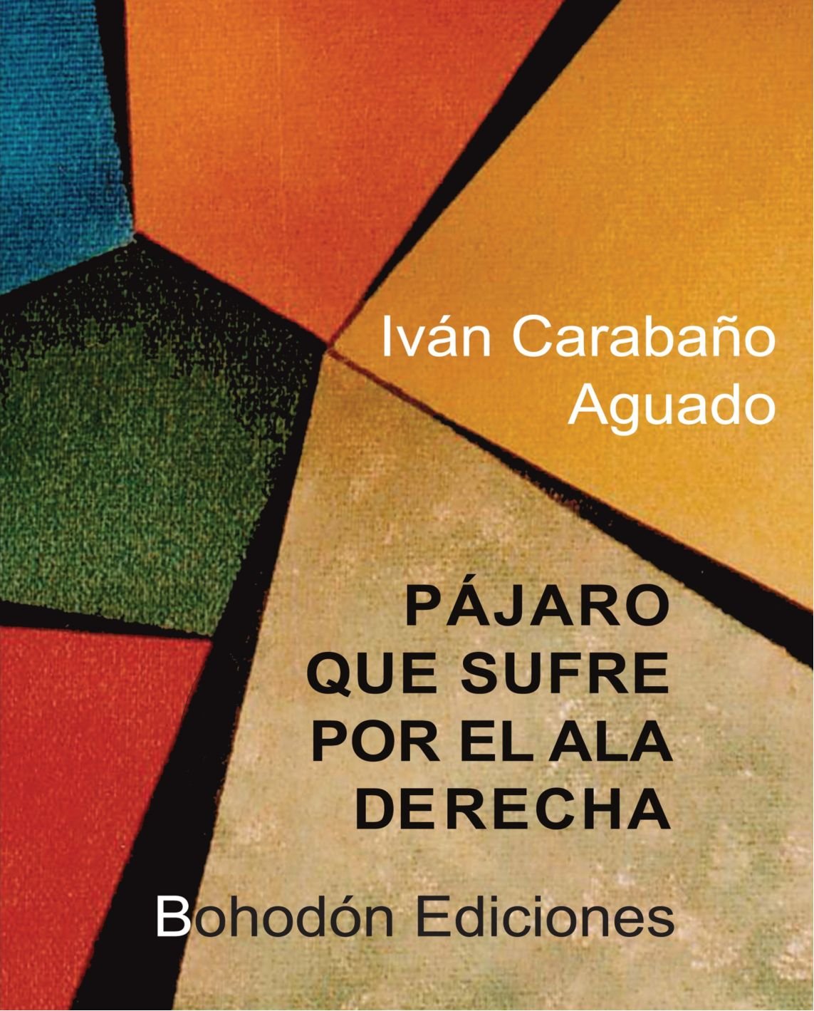 Pájaro Que Sufre Por el Ala Derecha (Añil, Band 14) Poetry