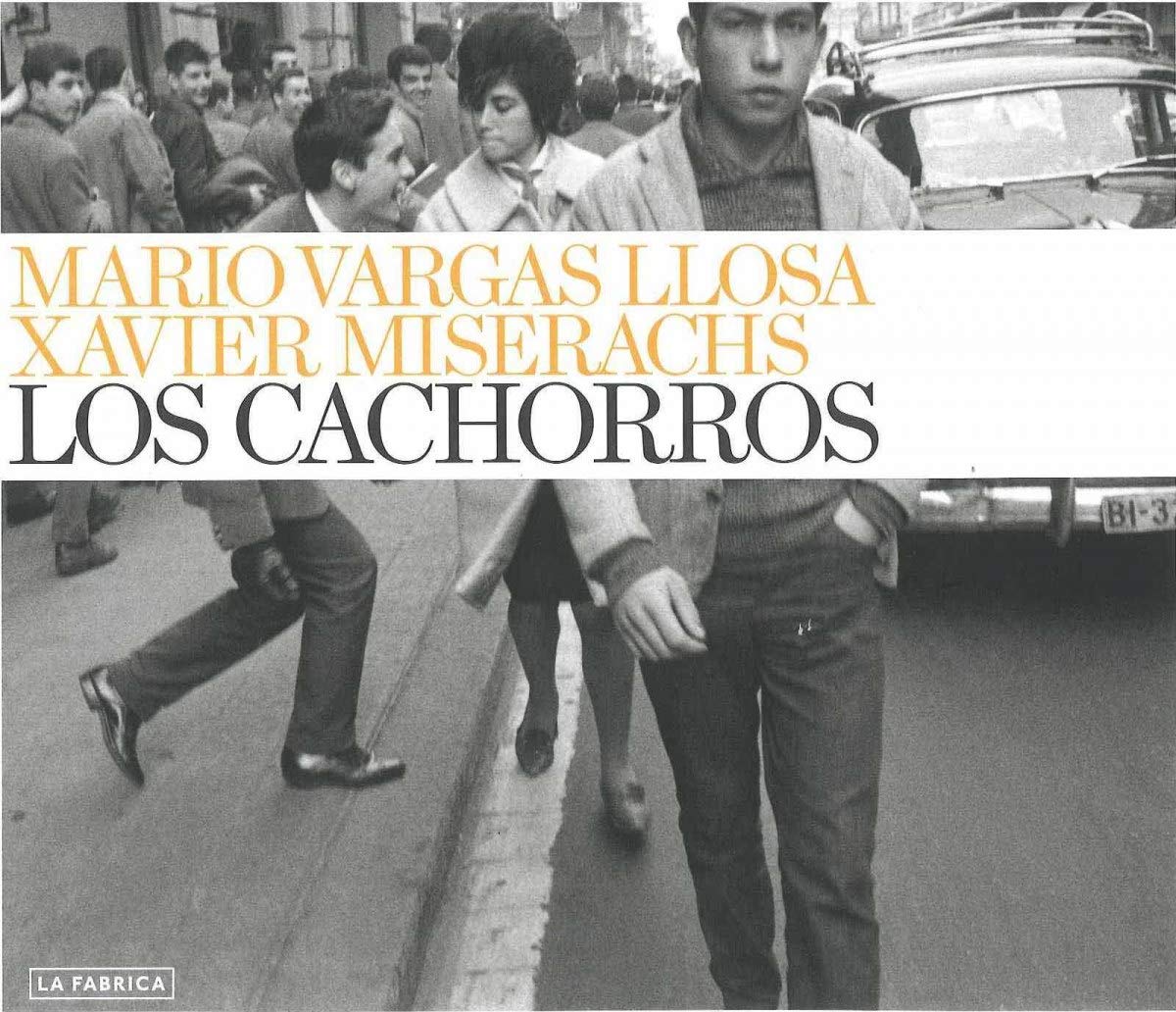 Product Image: Los cachorros