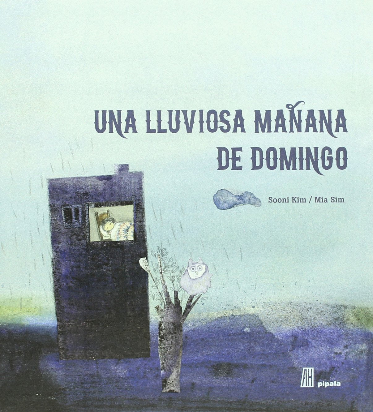 UNA LLUVIOSA MANANA DE DOMINGO book