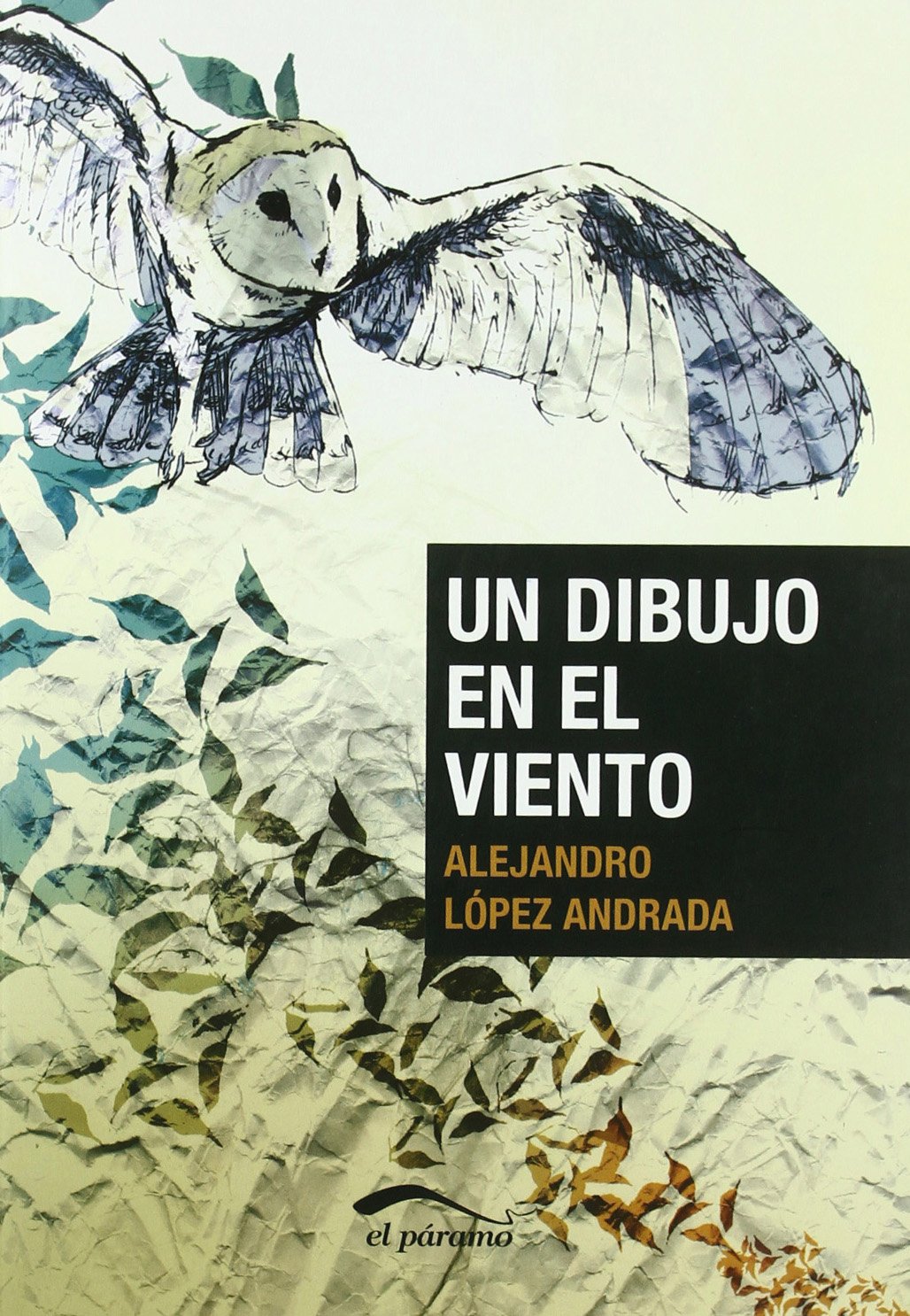 Un dibujo en el viento (Colecci¢n Mayor) Reading Aloud & Learning to Read