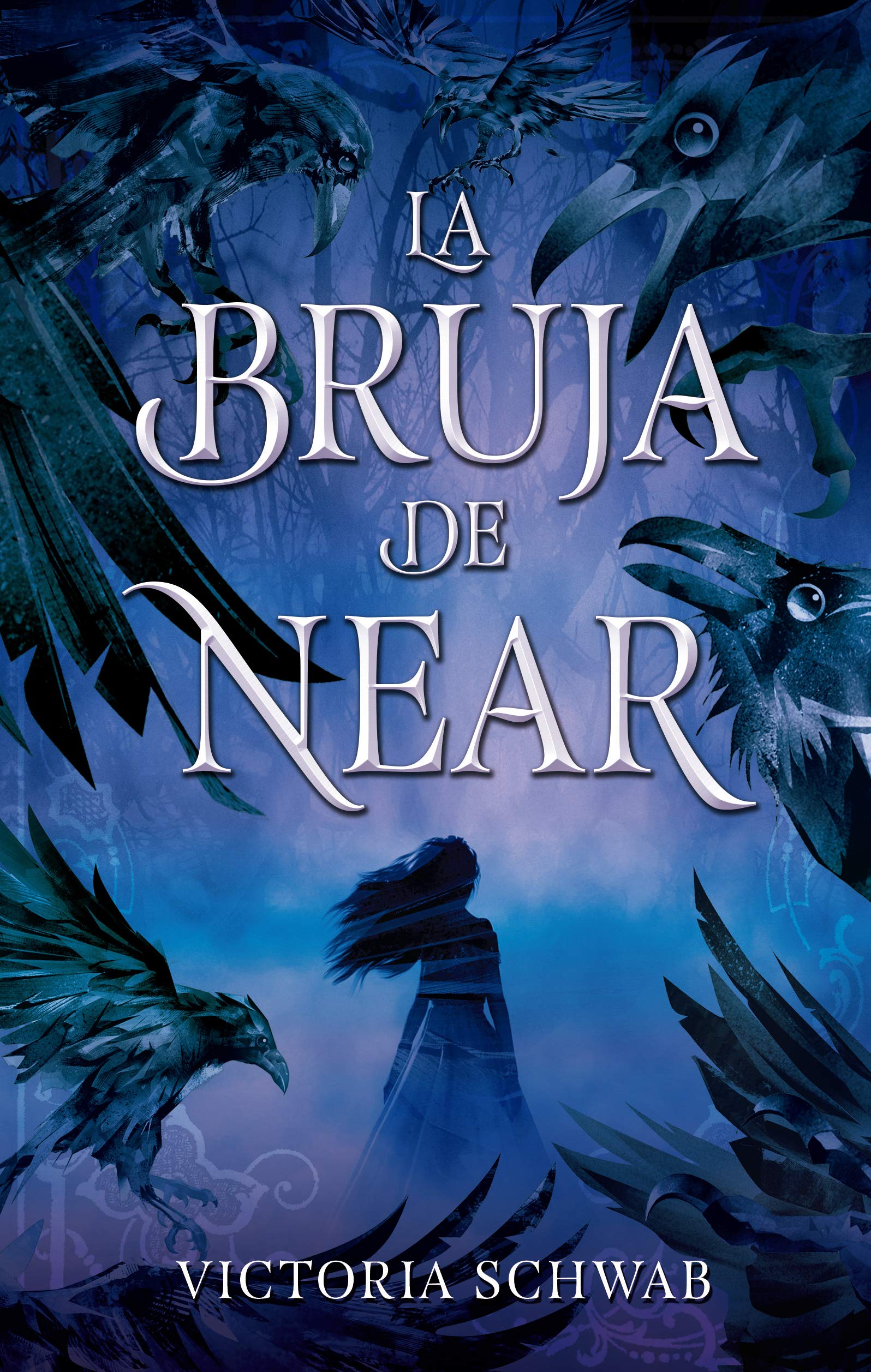 La bruja de Near / The Near Witch book