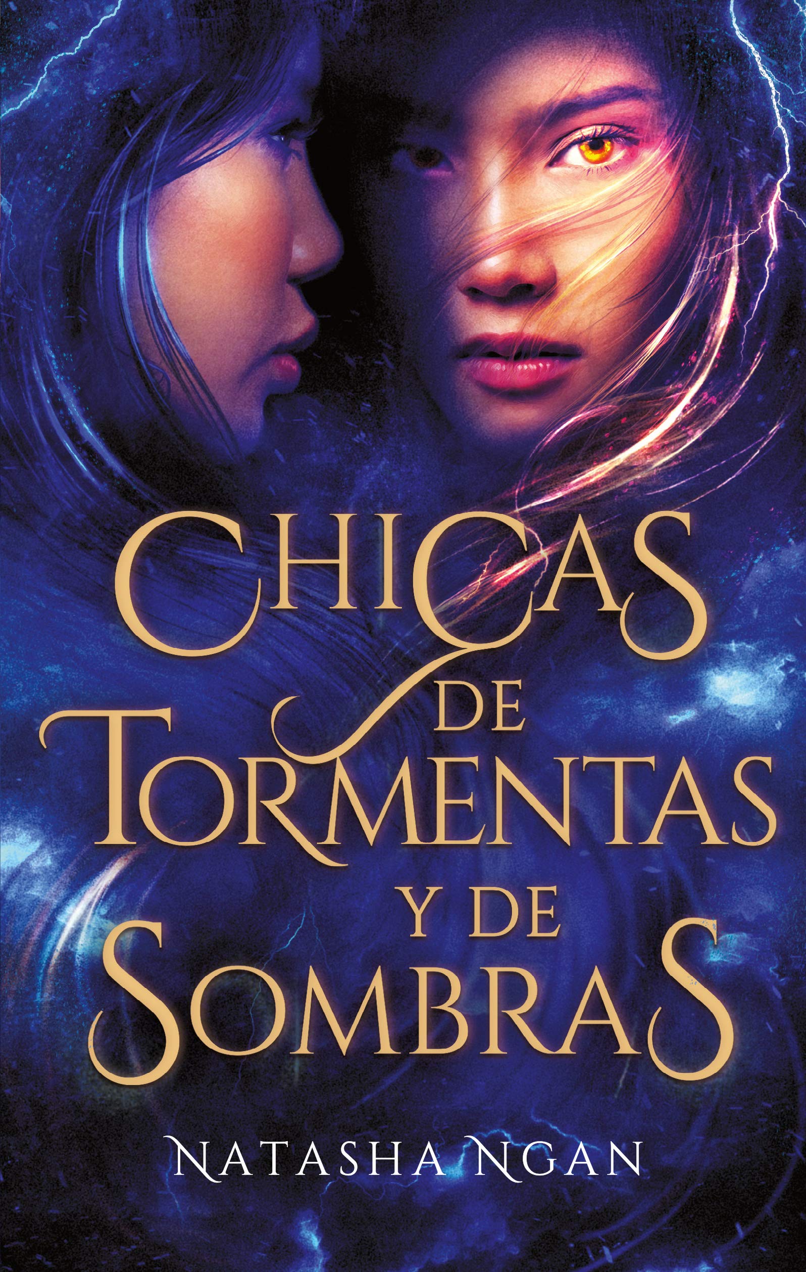 Chicas de tormentas y de sombras / Girls Of Storm And Shadow book