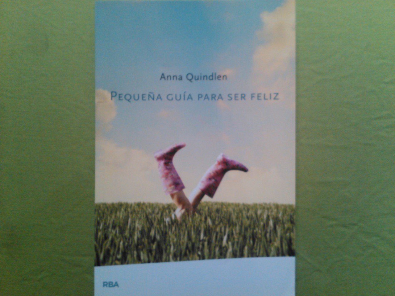 Pequeña guia para ser feliz book