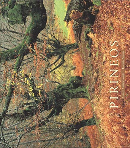 García Fernández, C: Pirineos book