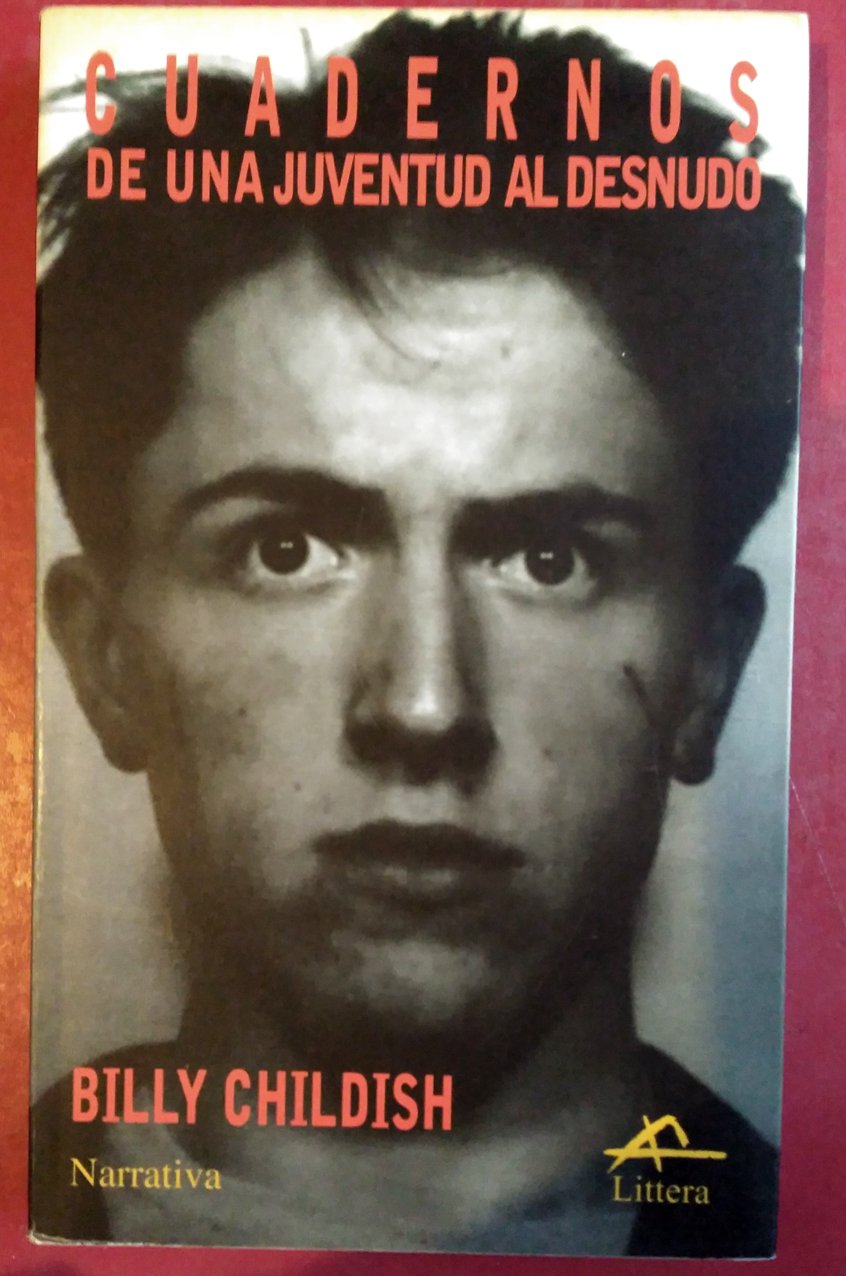 Cuadernos de una juventud al desnudo book