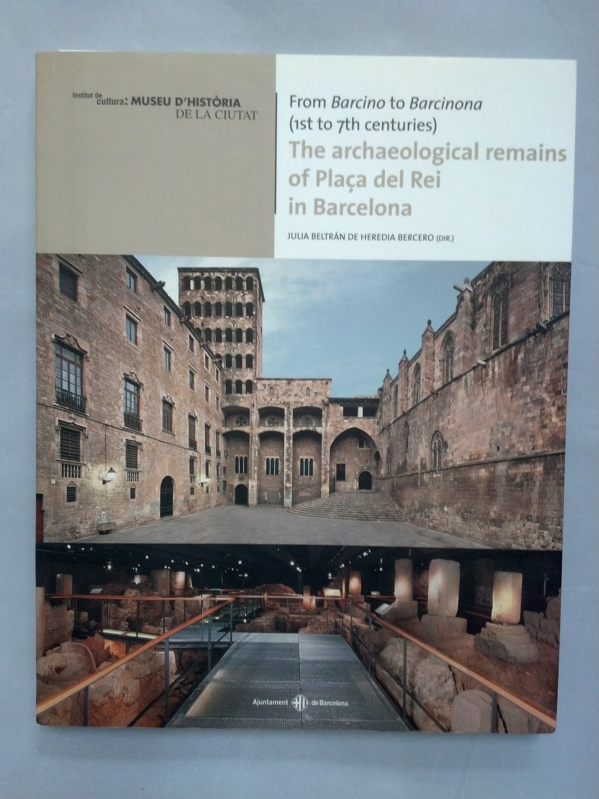 The Archaeological Remains of Placa Del Rei in Barcelona book