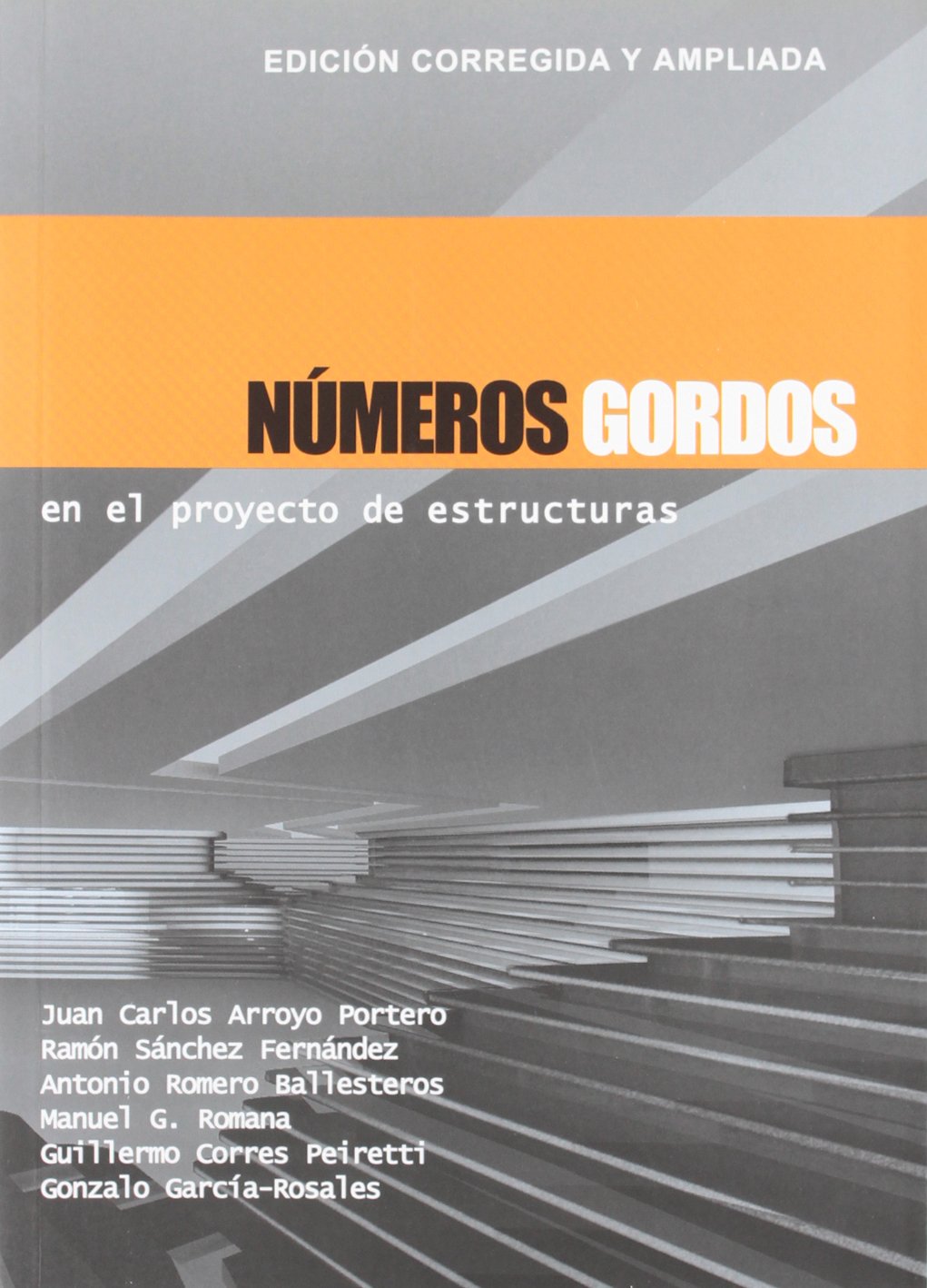 Números Gordos en el proyecto de estructuras: Edición corregida y ampliada book