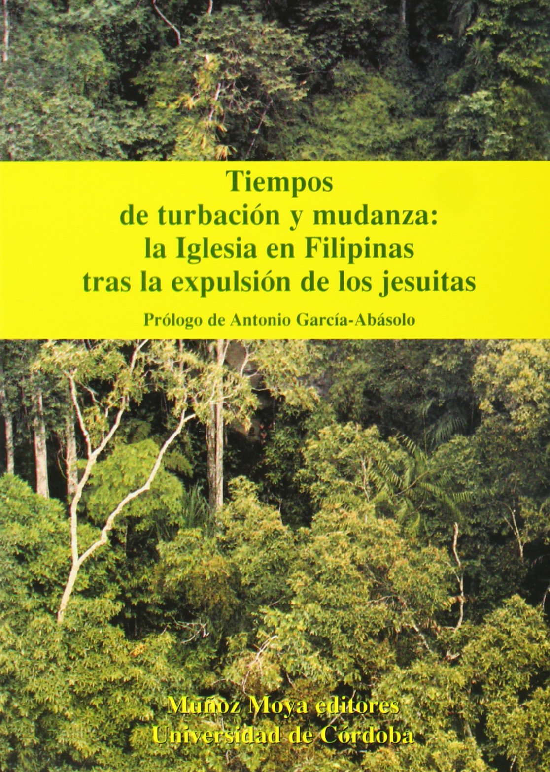 Tiempos de turbación y mudanza: la Iglesia en Filipinas tras la expulsión de los jesuitas book