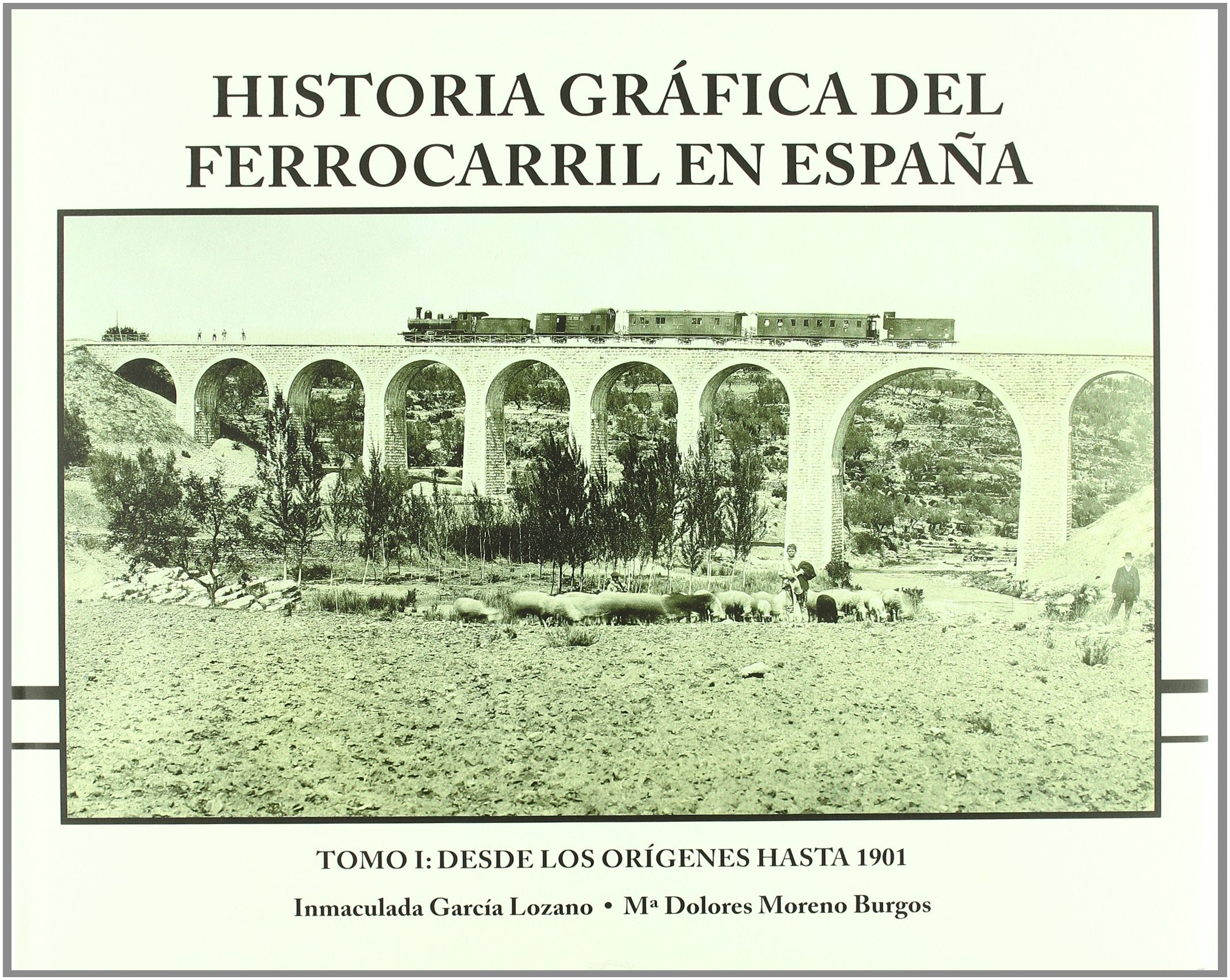 Desde los orígenes hasta 1901 book