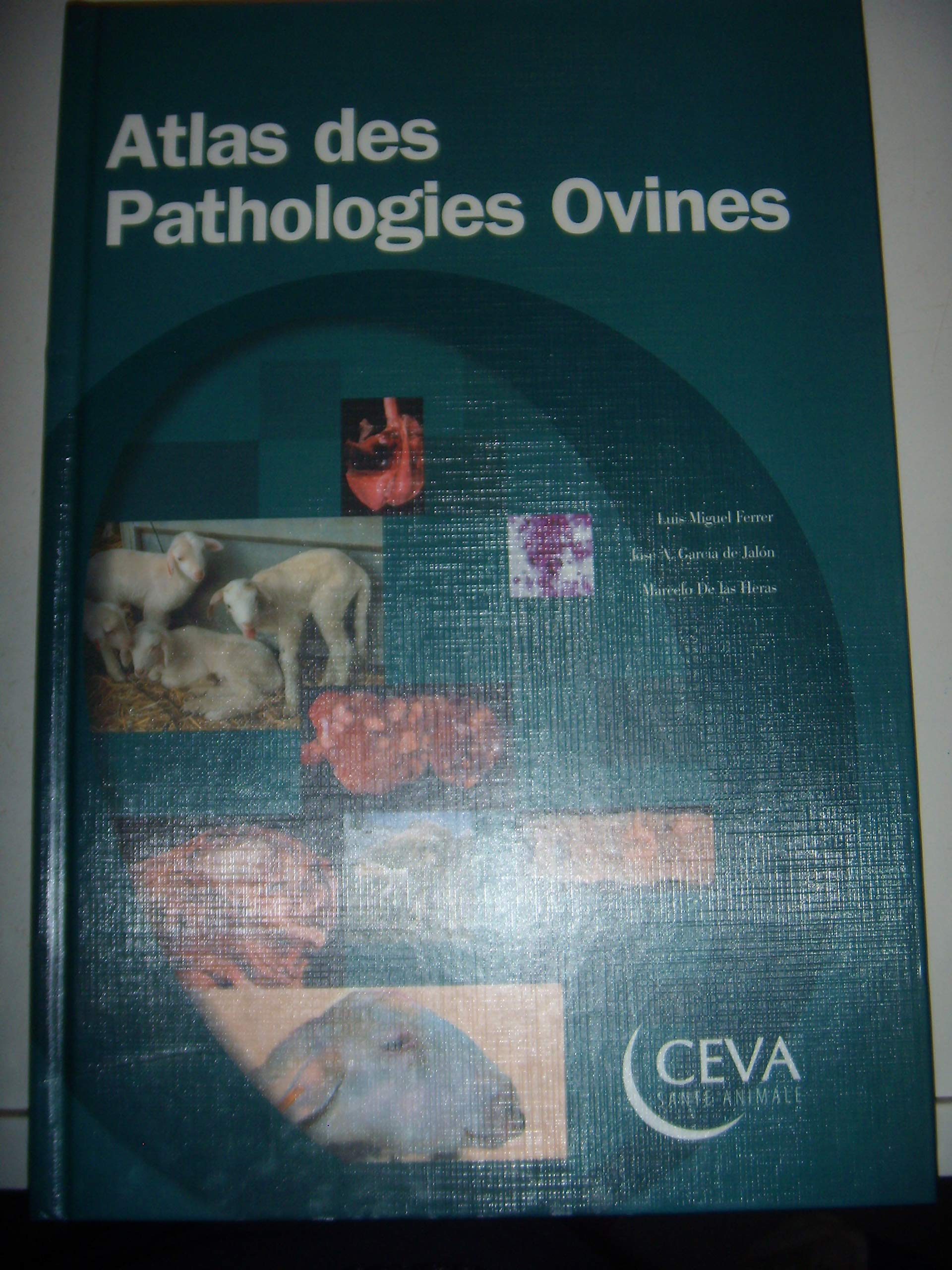 Moutons: Atlas des Pathologies Ovines, 2002 book