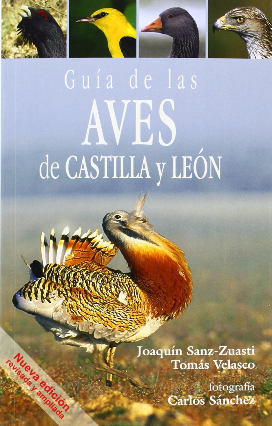 Guía de las aves de Castilla y León book