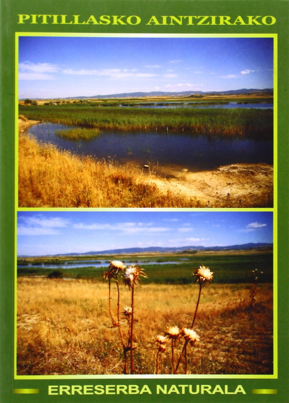Pitillasko Aintzirako Erreserba Naturala book