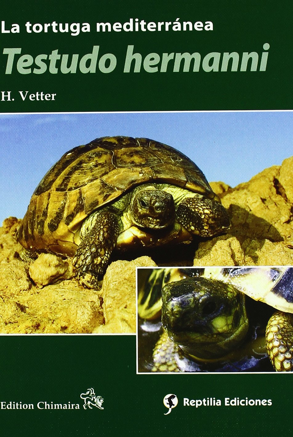 Testudo hermanni : la tortuga mediterránea book