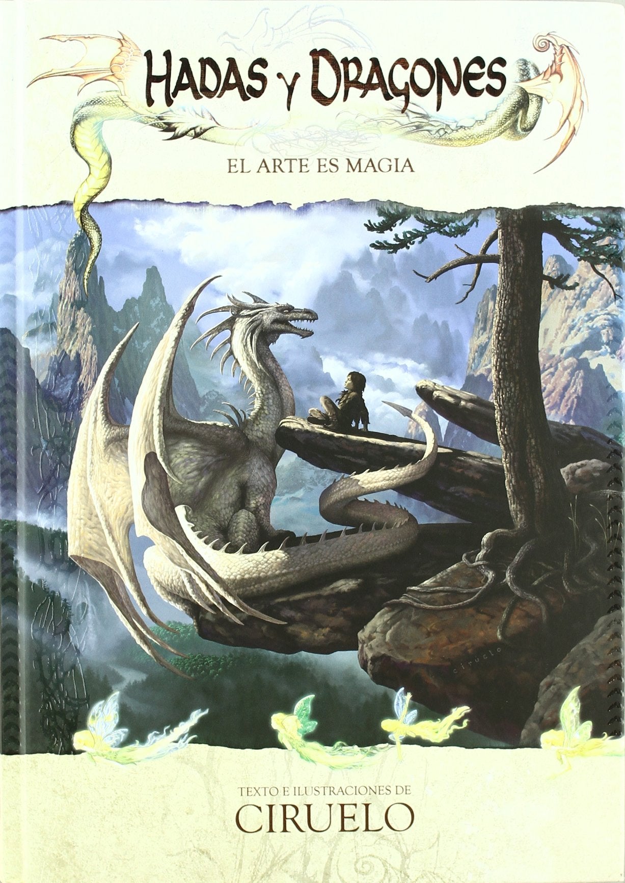 Hadas y dragones - el arte es magia Books