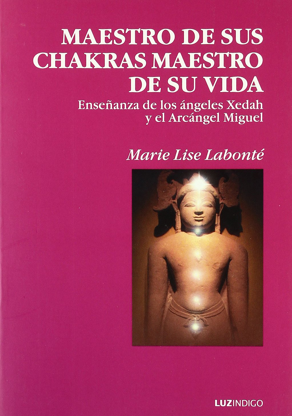 Maestro de sus chakras, maestro de su vida : enseñanza de los ángeles Xedah y el arcángel Miguel book