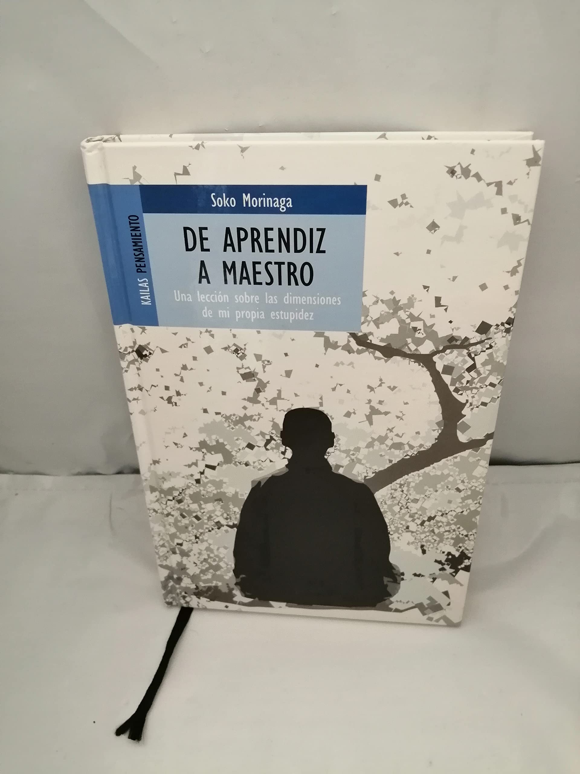 De aprendiz a maestro (No ficción) book