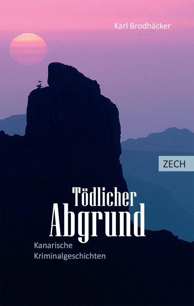 Tödlicher Abgrund Contemporary literature Books
