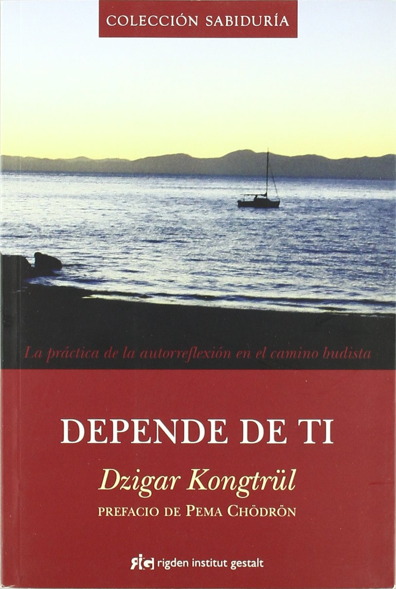 Depende de ti : la práctica de la autorreflexión en el camino budista Social Sciences