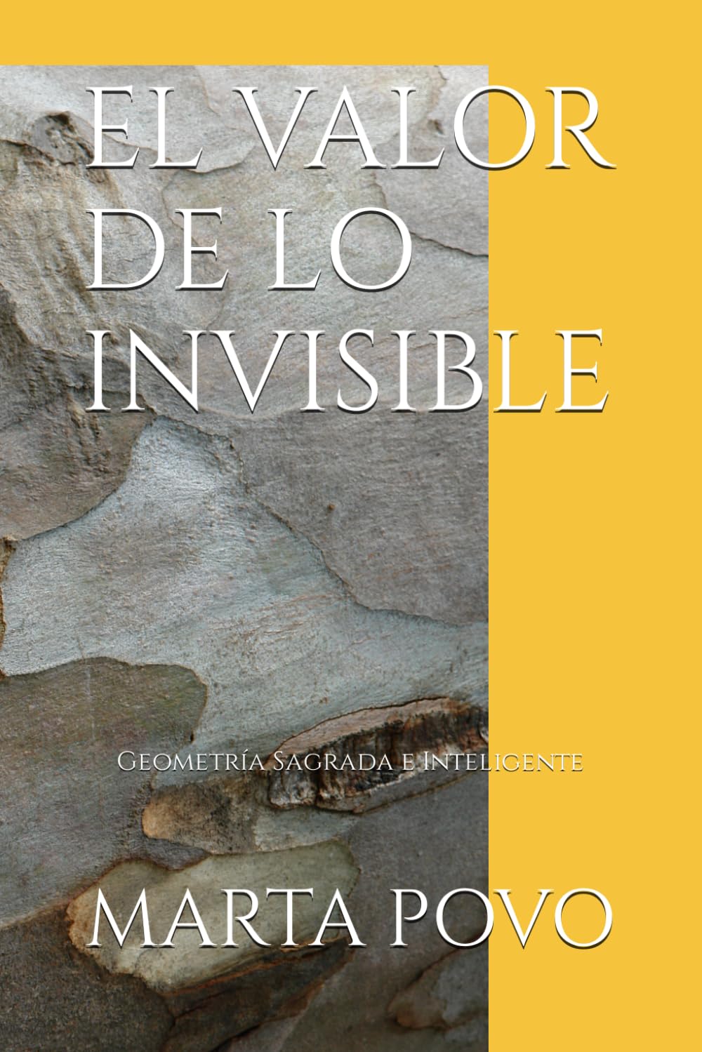 EL VALOR DE LO INVISIBLE: Geometría Sagrada e Inteligente book